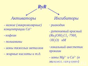 RyR Активаторы - низкие (микромолярные) концентрации Са2+ - кофеин - полиамины -
