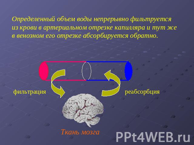 Определенный объем воды непрерывно фильтруется из крови в артериальном отрезке капилляра и тут же в венозном его отрезке абсорбируется обратно.