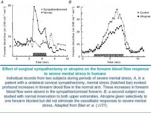 Effect of surgical sympathectomy or atropine on the forearm blood flow response