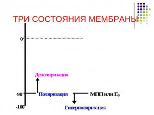 ТРИ СОСТОЯНИЯ МЕМБРАНЫ