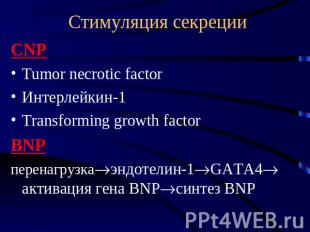 Стимуляция секреции CNP Tumor necrotic factor Интерлейкин-1 Transforming growth