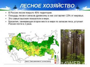 ЛЕСНОЕ ХОЗЯЙСТВО В России лесом покрыто 45% территории. Площадь лесов и запасов