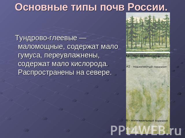 Основные типы почв России. Тундрово-глеевые — маломощные, содержат мало гумуса, переувлажнены, содержат мало кислорода. Распространены на севере.