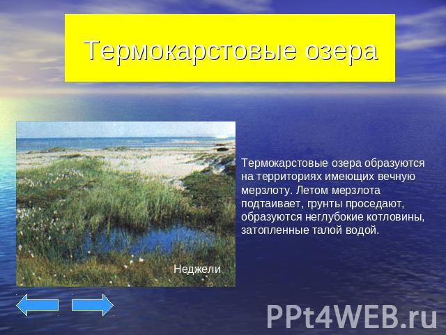 Термокарстовые озера Термокарстовые озера образуются на территориях имеющих вечную мерзлоту. Летом мерзлота подтаивает, грунты проседают, образуются неглубокие котловины, затопленные талой водой.