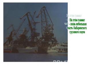 На этом снимке - лишь небольшая часть Хабаровского грузового порта