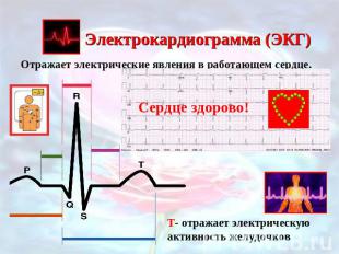 Электрокардиограмма (ЭКГ)Отражает электрические явления в работающем сердце. Сер