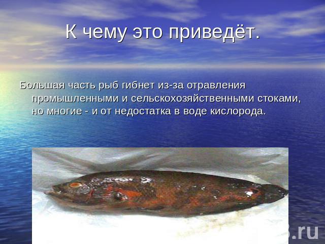 К чему это приведёт. Большая часть рыб гибнет из-за отравления промышленными и сельскохозяйственными стоками, но многие - и от недостатка в воде кислорода.