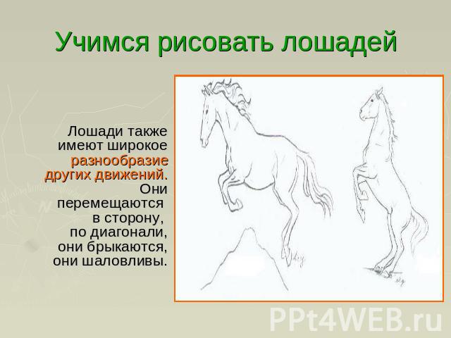 Учимся рисовать лошадей Лошади также имеют широкое разнообразие других движений. Они перемещаются в сторону, по диагонали, они брыкаются, они шаловливы.