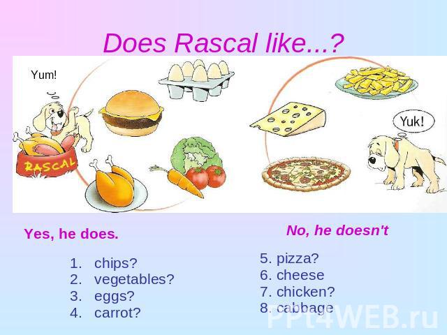 Does Rascal like...? Yes, he does. chips? vegetables? eggs? carrot?No, he doesn't5. pizza?6. cheese7. chicken?8. cabbage