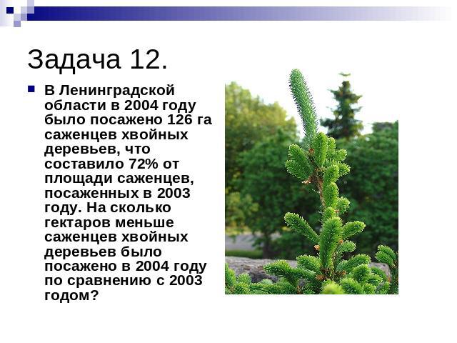 Задача 12. В Ленинградской области в 2004 году было посажено 126 га саженцев хвойных деревьев, что составило 72% от площади саженцев, посаженных в 2003 году. На сколько гектаров меньше саженцев хвойных деревьев было посажено в 2004 году по сравнению…