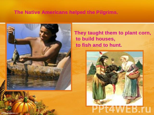 The Native Americans helped the Pilgrims.They taught them to plant corn, to build houses, to fish and to hunt.