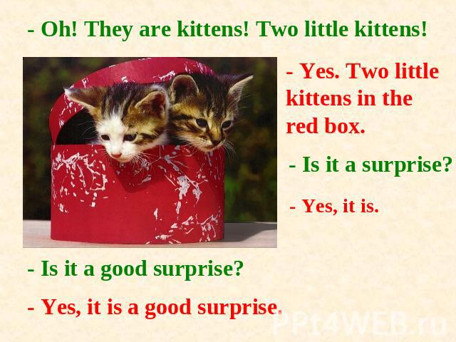 - Oh! They are kittens! Two little kittens!- Yes. Two little kittens in the red box.- Is it a surprise?- Yes, it is.- Is it a good surprise?- Yes, it is a good surprise.