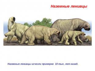 Наземные ленивцы  Наземные ленивцы исчезли примерно 10 тыс. лет назад..