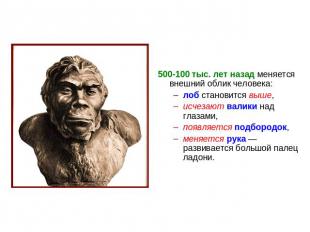 500-100 тыс. лет назад меняется внешний облик человека:лоб становится выше,исчез