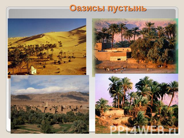 Оазисы пустынь