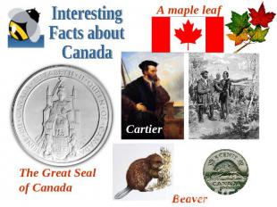 Interesting Facts about CanadaA maple leafThe Great Seal of CanadaBeaver Cartier