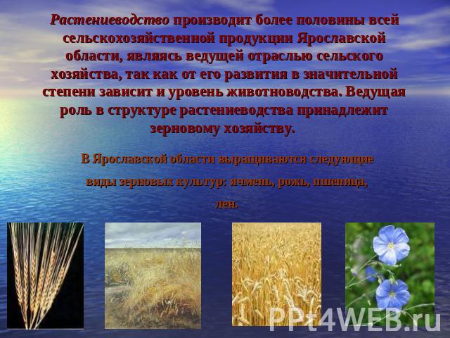 Растениеводство производит более половины всей сельскохозяйственной продукции Ярославской области, являясь ведущей отраслью сельского хозяйства, так как от его развития в значительной степени зависит и уровень животноводства. Ведущая роль в структур…