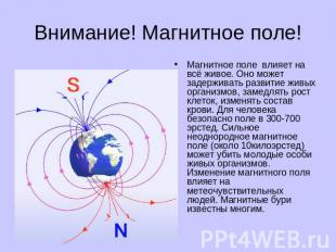 Внимание! Магнитное поле! Магнитное поле влияет на всё живое. Оно может задержив