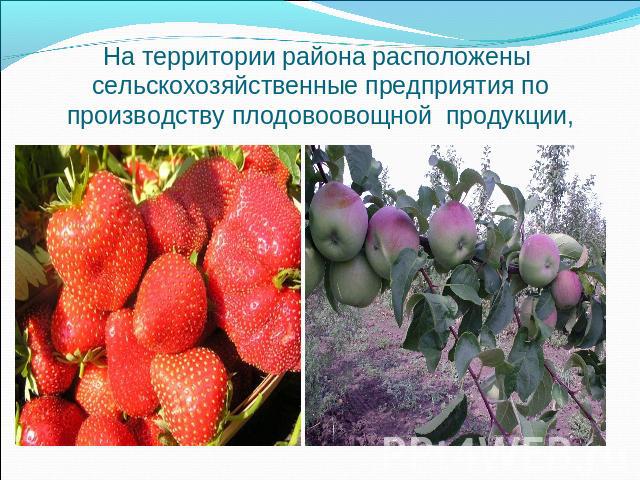 На территории района расположены сельскохозяйственные предприятия по производству плодовоовощной продукции,