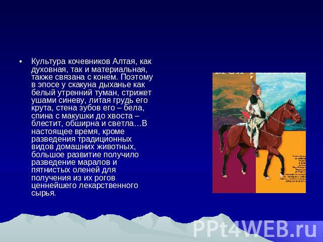 Культура кочевников Алтая, как духовная, так и материальная, также связана с конем. Поэтому в эпосе у скакуна дыханье как белый утренний туман, стрижет ушами синеву, литая грудь его крута, стена зубов его – бела, спина с макушки до хвоста – блестит,…