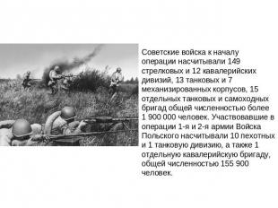 Советские войска к началу операции насчитывали 149 стрелковых и 12 кавалерийских