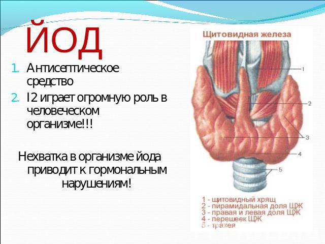 ЙОД Антисептическое средствоI2 играет огромную роль в человеческом организме!!!Нехватка в организме йода приводит к гормональным нарушениям!