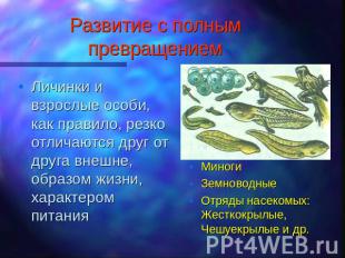 Развитие с полным превращением Личинки и взрослые особи, как правило, резко отли