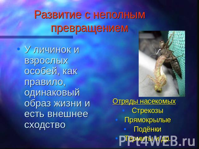 Развитие с неполным превращением У личинок и взрослых особей, как правило, одинаковый образ жизни и есть внешнее сходствоОтряды насекомыхСтрекозыПрямокрылыеПодёнкиТермиты и др.