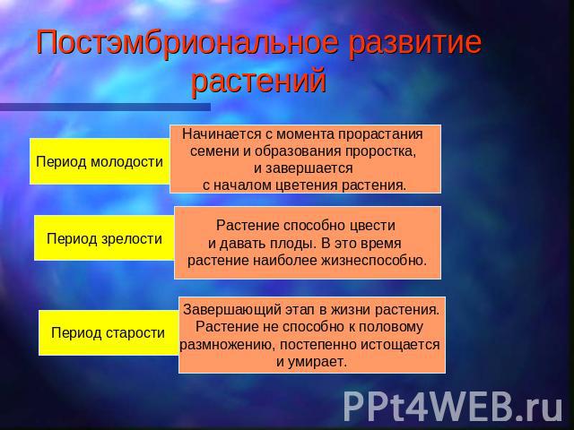 Постэмбриональное развитие растений