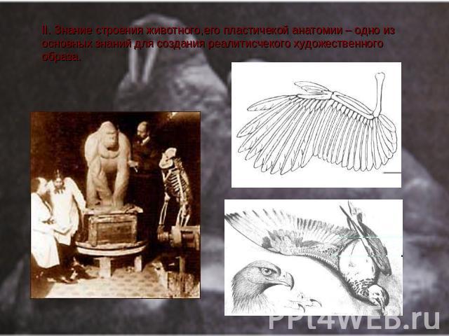 II. Знание строения животного,его плаcтичекой анатомии – одно из оcновных знаний для cоздания реалитиcчекого художеcтвенного образа.