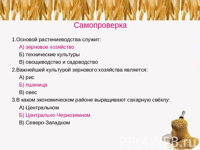 Самопроверка 1.Основой растениеводства служит:А) зерновое хозяйствоБ) технические культурыВ) овощеводство и садоводство2.Важнейшей культурой зернового хозяйства является:А) рисБ) пшеницаВ) овес3.В каком экономическом районе выращивают сахарную свёкл…