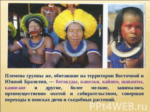 Племена группы же, обитавшие на территории Восточной и Южной Бразилии, — ботокуд