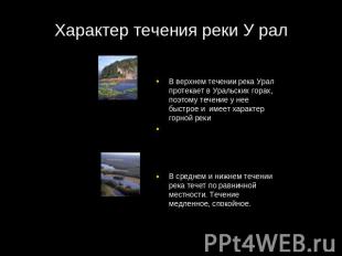 Характер течения реки У рал В верхнем течении река Урал протекает в Уральских го