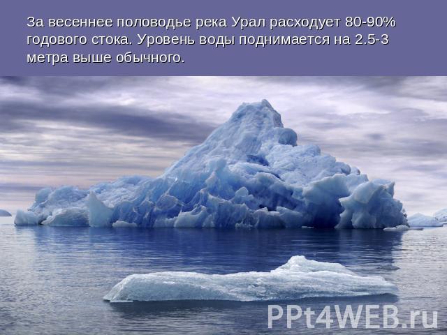 За весеннее половодье река Урал расходует 80-90% годового стока. Уровень воды поднимается на 2.5-3 метра выше обычного.