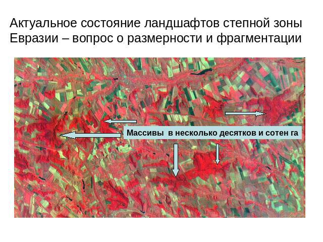 Актуальное состояние ландшафтов степной зоны Евразии – вопрос о размерности и фрагментации