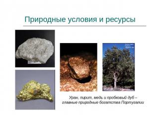 Природные условия и ресурсы Уран, пирит, медь и пробковый дуб – главные природны
