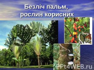Безліч пальм, рослин корисних