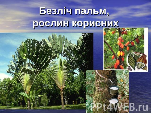 Безліч пальм, рослин корисних