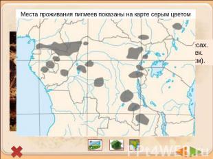 Места проживания пигмеев показаны на карте серым цветом