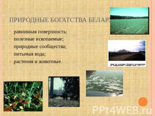 Природные богатства Беларуси равнинная поверхность;полезные ископаемые;природные