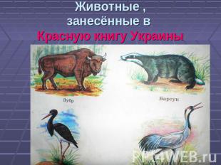 Животные ,занесённые в Красную книгу Украины