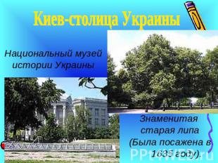 Киев-столица УкраиныНациональный музей истории УкраиныЗнаменитая старая липа(Был