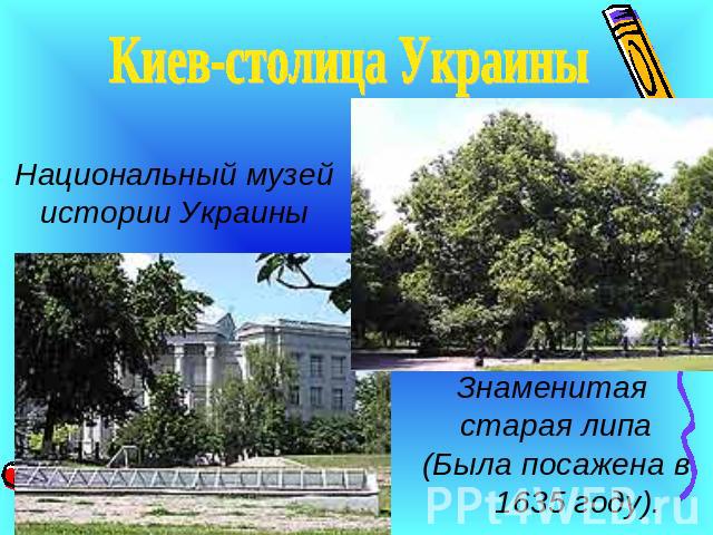 Киев-столица УкраиныНациональный музей истории УкраиныЗнаменитая старая липа(Была посажена в 1635 году).