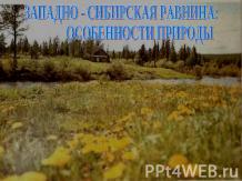 Западно-Сибирская равнина: особенности природы