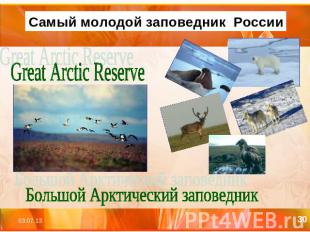 Самый молодой заповедник России Great Arctic Reserve Большой Арктический заповед