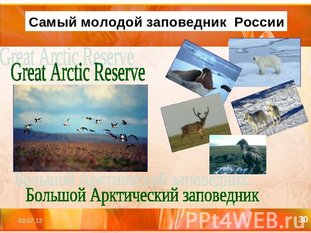 Самый молодой заповедник России Great Arctic Reserve Большой Арктический заповедник