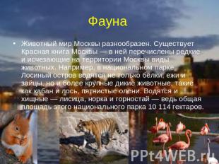 Фауна Животный мир Москвы разнообразен. Существует Красная книга Москвы — в ней
