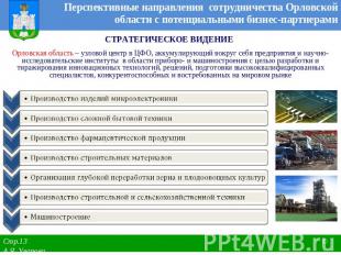 Перспективные направления сотрудничества Орловской области с потенциальными бизн