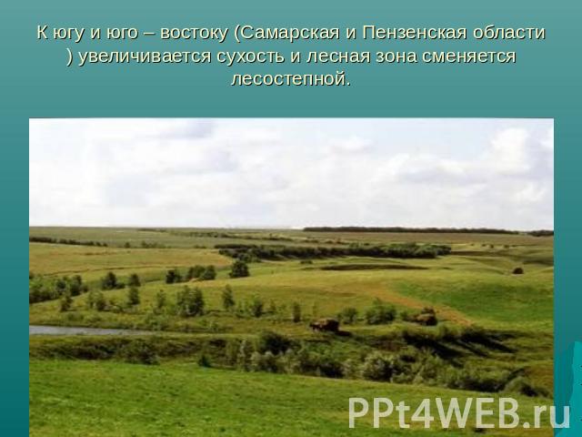 К югу и юго – востоку (Самарская и Пензенская области) увеличивается сухость и лесная зона сменяется лесостепной.