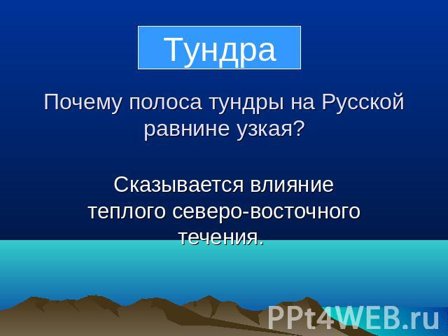 Тундра Почему полоса тундры на Русской равнине узкая?Сказывается влияние теплого северо-восточного течения.